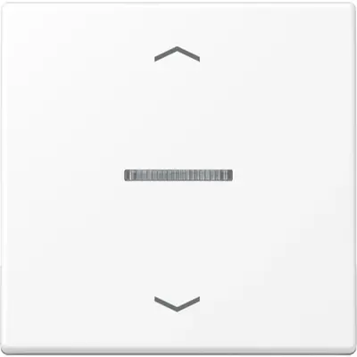 JUNG a range intelligent bedieningselement (FM A 1700 BFP WWM)