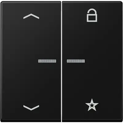 JUNG a range intelligent bedieningselement (FM A 1701 BFP SWM)