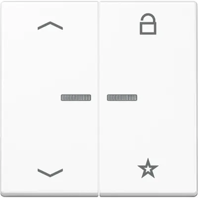 JUNG a range intelligent bedieningselement (FM A 1701 BFP WWM)