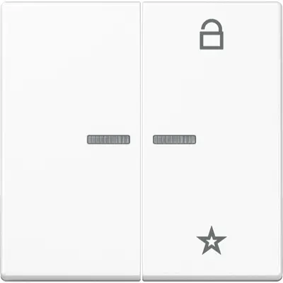 JUNG a range intelligent bedieningselement (FM A 1701 BF WWM)