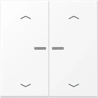 JUNG schakelwip 2-voudig met controlevenster voor HOME draadloze schakelaar LS990 sneeuwwit mat (LS 102 KO5P WWM)