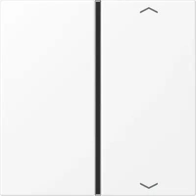 JUNG bedieningselement centraalplaat (LS 401 TSAP WWM)