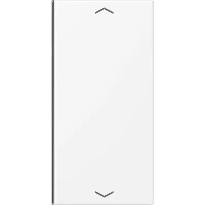 JUNG bedieningselement centraalplaat (LS 402 TSAP WWM)