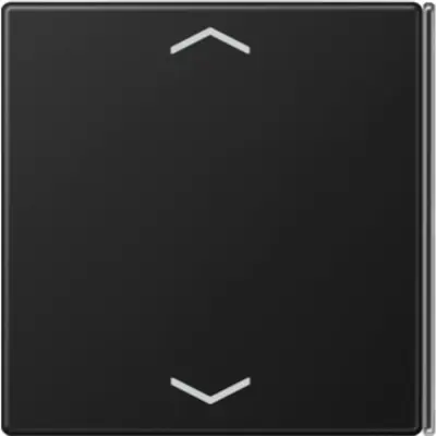 JUNG bedieningselement centraalplaat (LS 404 TSAP SWM 23)