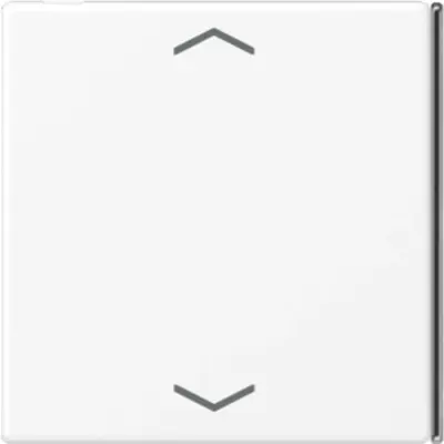 JUNG bedieningselement centraalplaat (LS 404 TSAP WWM 23)