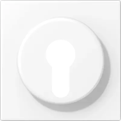 JUNG bedieningselement centraalplaat (LS 928 WWM)