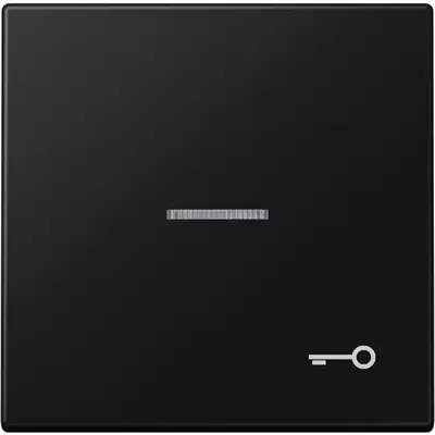 JUNG schakelwip met sleutelsymbool en controlevenster LS990 grafietzwart mat (LS 990 KO5 T SWM)