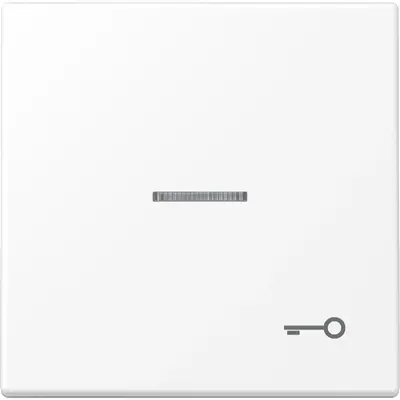 JUNG schakelwip met sleutelsymbool en controlevenster LS990 sneeuwwit mat (LS 990 KO5 T WWM)
