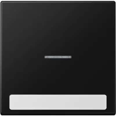 JUNG schakelwip met controlevenster en tekstvenster LS990 grafietzwart mat (LS 990 NAKO5 SWM)