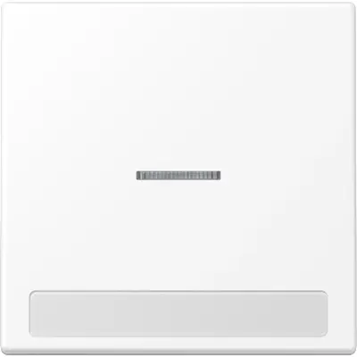 JUNG schakelwip met controlevenster en tekstvenster LS990 sneeuwwit mat (LS 990 NAKO5 WWM)