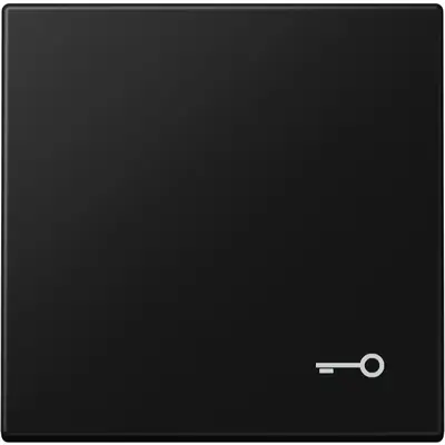 JUNG schakelwip met sleutelsymbool LS990 grafietzwart mat (LS 990 T SWM)