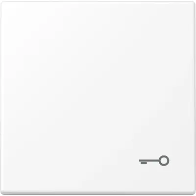 JUNG schakelwip met sleutelsymbool LS990 sneeuwwit mat (LS 990 T WWM)