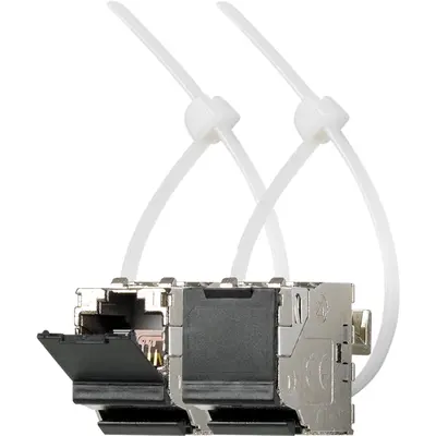 JUNG universeelmodule 2x CAT6A iso RJ45 modular jack met stofklep (UMA-CAT6A-25)