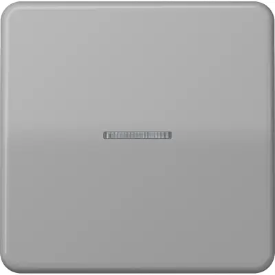 JUNG CD500 Tastsensor bussysteem (CD 10911 ST RF GR)