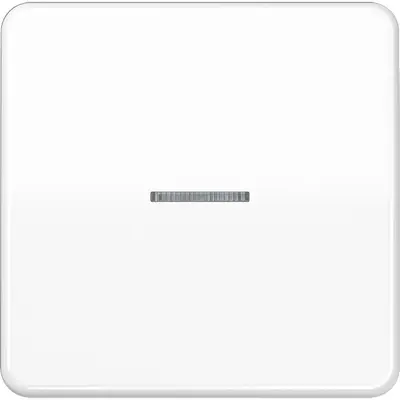 JUNG CD500 Tastsensor bussysteem (CD 10911 ST RF WW)