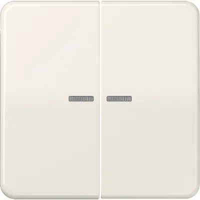 JUNG CD500 Tastsensor bussysteem (CD 10921 ST RF)