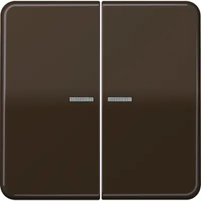 JUNG CD500 Tastsensor bussysteem (CD 10921 ST RF BR)