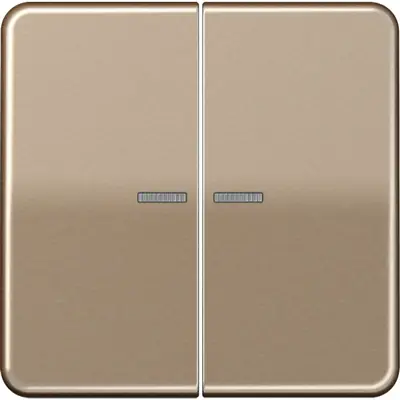 JUNG CD500 Tastsensor bussysteem (CD 10921 ST RF GB)