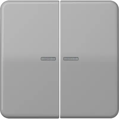JUNG CD500 Tastsensor bussysteem (CD 10921 ST RF GR)