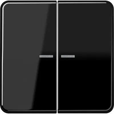 JUNG CD500 Tastsensor bussysteem (CD 10921 ST RF SW)