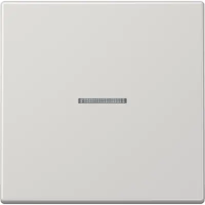 JUNG LS990 Tastsensor bussysteem (LS 10911 ST RF LG)