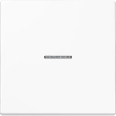 JUNG LS990 Tastsensor bussysteem (LS10911STRFWW)