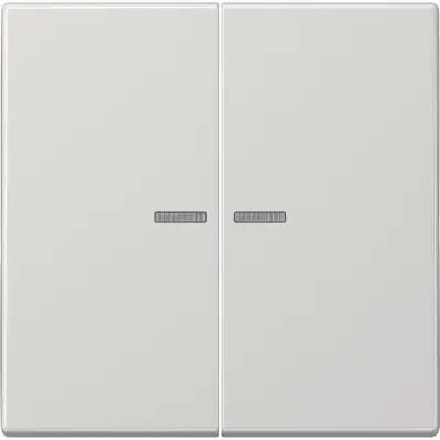 JUNG LS990 Tastsensor bussysteem (LS 10921 ST RF LG)