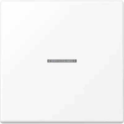 JUNG LS-range Tastsensor bussysteem (LS 10911 ST RF WWM)