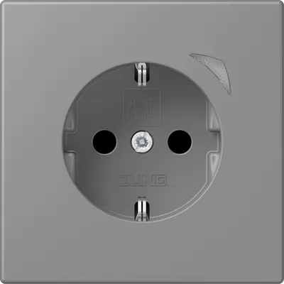 JUNG HOME wandcontactdoos randaarde Les Couleurs gris 31 203 (BT LC 1521 S 203)