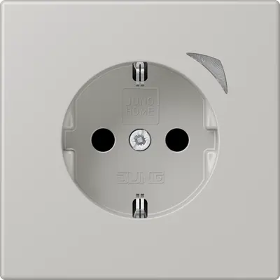 JUNG HOME wandcontactdoos randaarde Les Couleurs gris clair 31 205 (BT LC 1521 S 205)