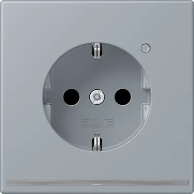 JUNG wandcontactdoos randaarde met LED-orientatieverlichting en lichtsensor Les Couleurs gris clair 59 257 (LC 1520-O LNW 257)