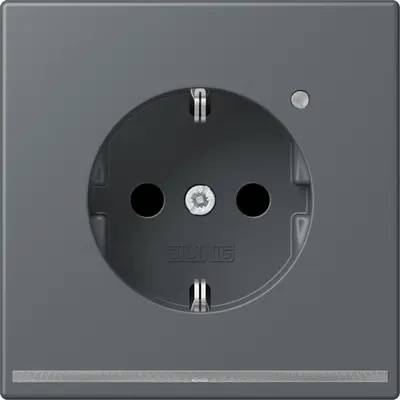JUNG wandcontactdoos randaarde met LED-orientatieverlichting en lichtsensor Les Couleurs gris fonce 31 202 (LC 1520-O LNW 202)