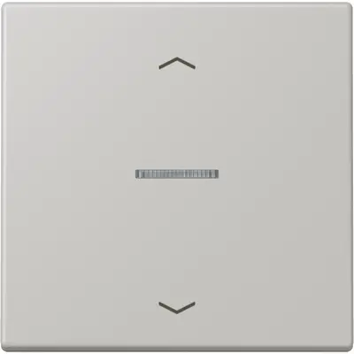 JUNG HOME schakelwip met controlevenster en pijlsymbolen voor HOME draadloze schakelaar Les Couleurs gris clair 31 205 (LC 101 KO5P 205)