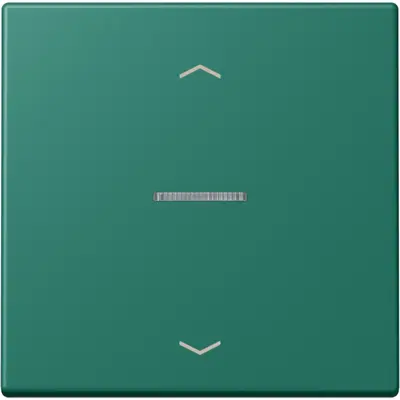 JUNG HOME schakelwip met controlevenster en pijlsymbolen voor HOME draadloze schakelaar Les Couleurs vert anglais 216 (LC 101 KO5P 216)