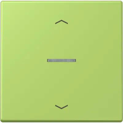 JUNG HOME schakelwip met controlevenster en pijlsymbolen voor HOME draadloze schakelaar Les Couleurs vert clair 221 (LC 101 KO5P 221)