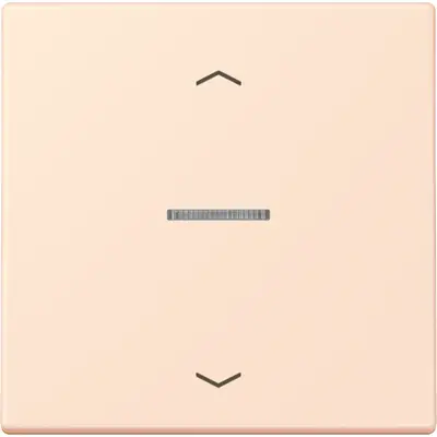 JUNG HOME schakelwip met controlevenster en pijlsymbolen voor HOME draadloze schakelaar Les Couleurs orange pale 226 (LC 101 KO5P 226)