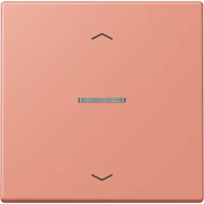 JUNG HOME schakelwip met controlevenster en pijlsymbolen voor HOME draadloze schakelaar Les Couleurs l'ocre rouge moyen 233 (LC 101 KO5P 233)