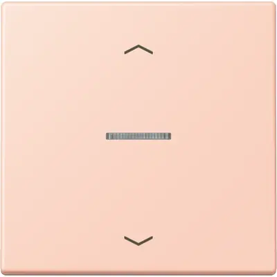 JUNG HOME schakelwip met controlevenster en pijlsymbolen voor HOME draadloze schakelaar Les Couleurs l'ocre rouge clair 234 (LC 101 KO5P 234)