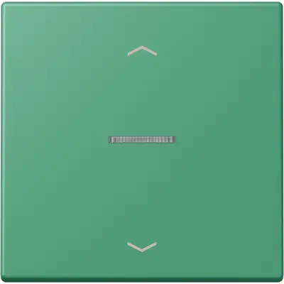 JUNG HOME schakelwip met controlevenster en pijlsymbolen voor HOME draadloze schakelaar Les Couleurs vert 59 250 (LC 101 KO5P 250)
