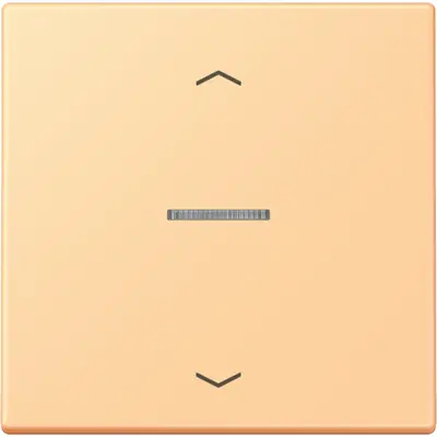 JUNG HOME schakelwip met controlevenster en pijlsymbolen voor HOME draadloze schakelaar Les Couleurs terre sienne clair 59 258 (LC 101 KO5P 258)
