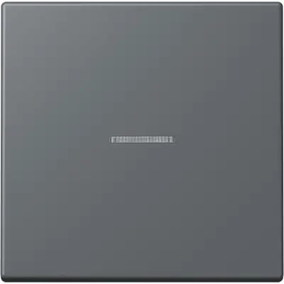 JUNG HOME schakelwip met controlevenster voor HOME draadloze schakelaar Les Couleurs gris fonce 31 202 (LC 101 KO5 202)