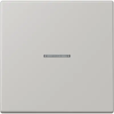 JUNG HOME schakelwip met controlevenster voor HOME draadloze schakelaar Les Couleurs gris clair 31 205 (LC 101 KO5 205)