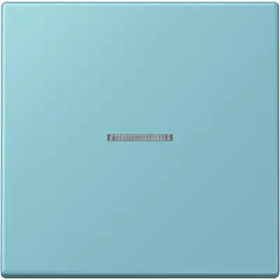 JUNG HOME schakelwip met controlevenster voor HOME draadloze schakelaar Les Couleurs ceruleen moyen 213 (LC 101 KO5 213)