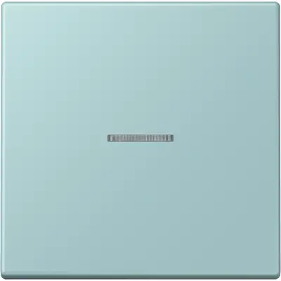 JUNG HOME schakelwip met controlevenster voor HOME draadloze schakelaar Les Couleurs ceruleen clair 214 (LC 101 KO5 214)