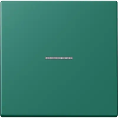 JUNG HOME schakelwip met controlevenster voor HOME draadloze schakelaar Les Couleurs vert anglais 216 (LC 101 KO5 216)