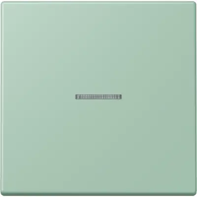 JUNG HOME schakelwip met controlevenster voor HOME draadloze schakelaar Les Couleurs vert anglais clair 217 (LC 101 KO5 217)