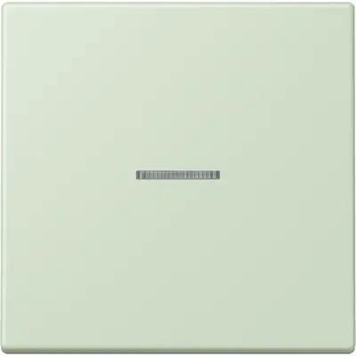 JUNG HOME schakelwip met controlevenster voor HOME draadloze schakelaar Les Couleurs vert anglais pale 218 (LC 101 KO5 218)