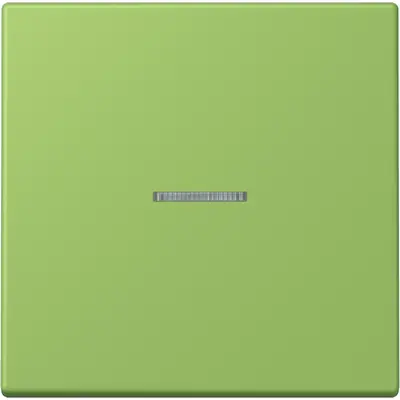 JUNG HOME schakelwip met controlevenster voor HOME draadloze schakelaar Les Couleurs vert 31 220 (LC 101 KO5 220)