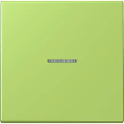 JUNG HOME schakelwip met controlevenster voor HOME draadloze schakelaar Les Couleurs vert clair 221 (LC 101 KO5 221)