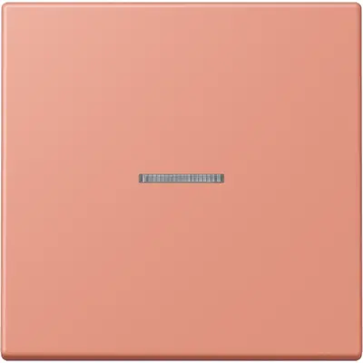 JUNG HOME schakelwip met controlevenster voor HOME draadloze schakelaar Les Couleurs l'ocre rouge moyen 233 (LC 101 KO5 233)